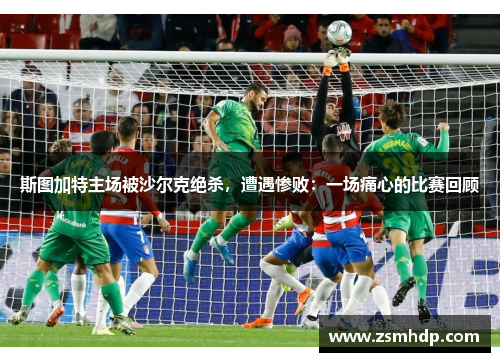 斯图加特主场被沙尔克绝杀，遭遇惨败：一场痛心的比赛回顾