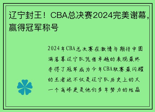 辽宁封王！CBA总决赛2024完美谢幕，赢得冠军称号
